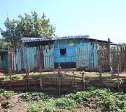 Kenija