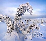 Sergėjaus Makurino nuotraukoje &ndash; kvapą gniaužianti gamta