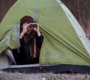 Festivalio dalyviai galės stebėti gerves 
