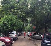 Indija