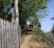 &Scaron;ie keliukai skirti ir žmonėms, ir jų auginamoms karvėms, kurios ganosi laisvai, kur nori