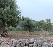 Apulija