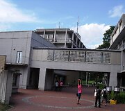 Japonija. Universiteto kiemelis