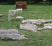 Vilnos paruo&scaron;imo procesas