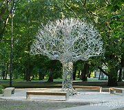 Vaiduoklių medis