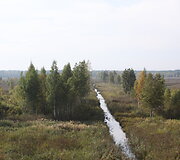 Novaraistis
