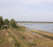 Novaraistis