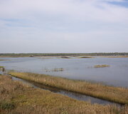 Novaraistis