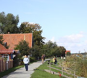 Mingės kaimas