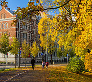 Auksinis spalis Rygoje