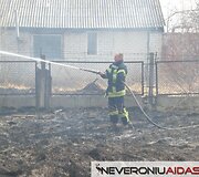 Dega žolė