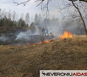 Deganti žolė &scaron;iuo metu yra vienas didžiausių ugniagesių galvos skausmų