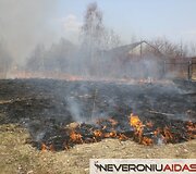 Gaisras Neveronyse