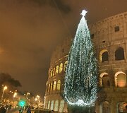 &Scaron;ventinė eglė Romoje