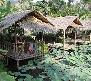 Koh Phangan sala pusmetį buvo Kupečių &scaron;eimos namai