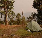 Nepalas