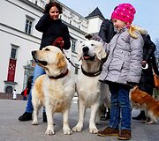 Ekskursijos dalyviai ir jų &scaron;unys tyrinės Vilniaus senamiestį