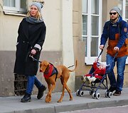 Ekskursijos dalyviai ir jų &scaron;unys tyrinės Vilniaus senamiestį