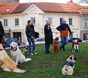 Ekskursijos dalyviai ir jų &scaron;unys tyrinės Vilniaus senamiestį