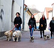 Ekskursijos dalyviai ir jų &scaron;unys tyrinės Vilniaus senamiestį