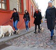 Ekskursijos dalyviai ir jų &scaron;unys tyrinės Vilniaus senamiestį