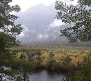 Naujosios Zelandijos gamta