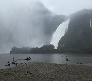 Milford Sound kriokliai
