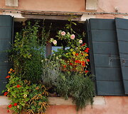 Venecija