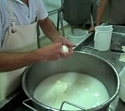 Taip gimsta sūris &bdquo;burrata&ldquo;
