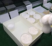 Taip gimsta sūris &bdquo;burrata&ldquo;