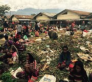 Aistės ir Liutauro Giedraičių atostogos Komodo ir Papua salose