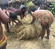 Aistės ir Liutauro Giedraičių atostogos Komodo ir Papua salose