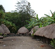 Papua namai