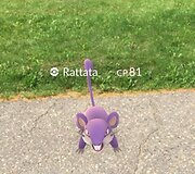 Alytuje vykusioje &scaron;ventėje miestiečiai ir svečiai gaudė pokemonus