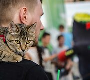 Kauno Rotu&scaron;ės aik&scaron;tėje pagerbti i&scaron; Rio sugrįžę Lietuvos sportininkai