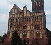 Karaliaučiaus katedra