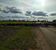 Dviračiu po Baltarusiją &ndash; 550 km kelionė