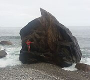 Pakeliui