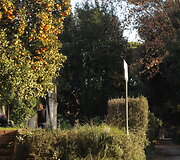 Parkas &bdquo;Villa Celimontana&ldquo;