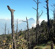 Pakeliui