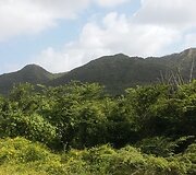 Kurasao sala