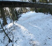 Kleboni&scaron;kio mi&scaron;ko parkas