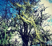 Kelionė į Ugnies žemę