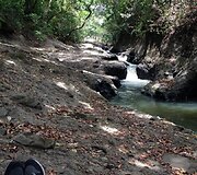 Panama &ndash; &scaron;alis, į kurią susiruo&scaron;ia neįprastos egzotikos ie&scaron;kantys keliautojai