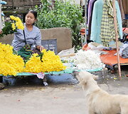 Taunggyi turgus