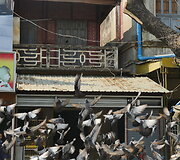 Taunggyi turgus