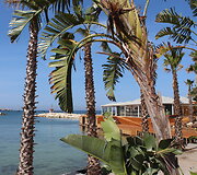 Ortigijos sala