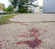 Mu&scaron;tynių pėdsakai