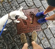 Manto Žalkausko ir jo draugės Simonos kelionė Baltijos keliu