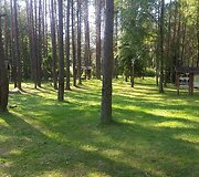 Plaukimas baidarėmis Žeimenos upe